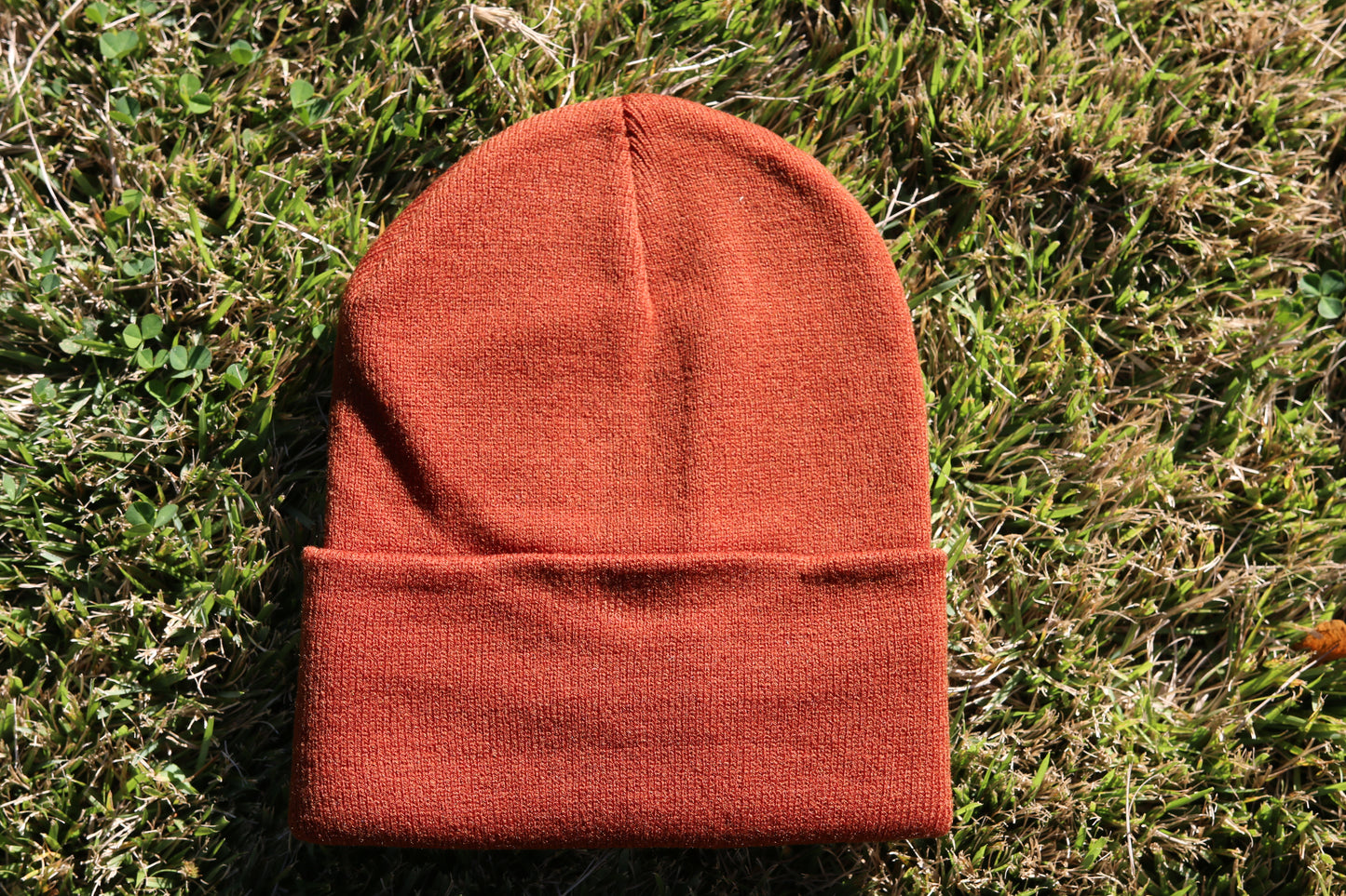 Clean Caps Cuffed 12" Beanie